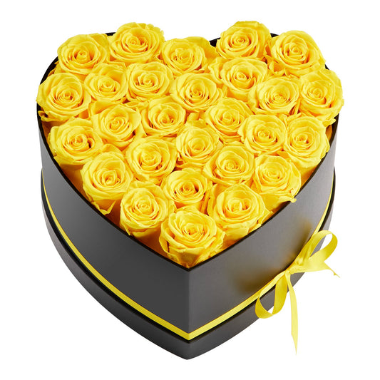 Preserved Roses Heart Box - 27 Real Eternal Roses Gift for Her, Anniversary, Valentine's Day & Birthday
