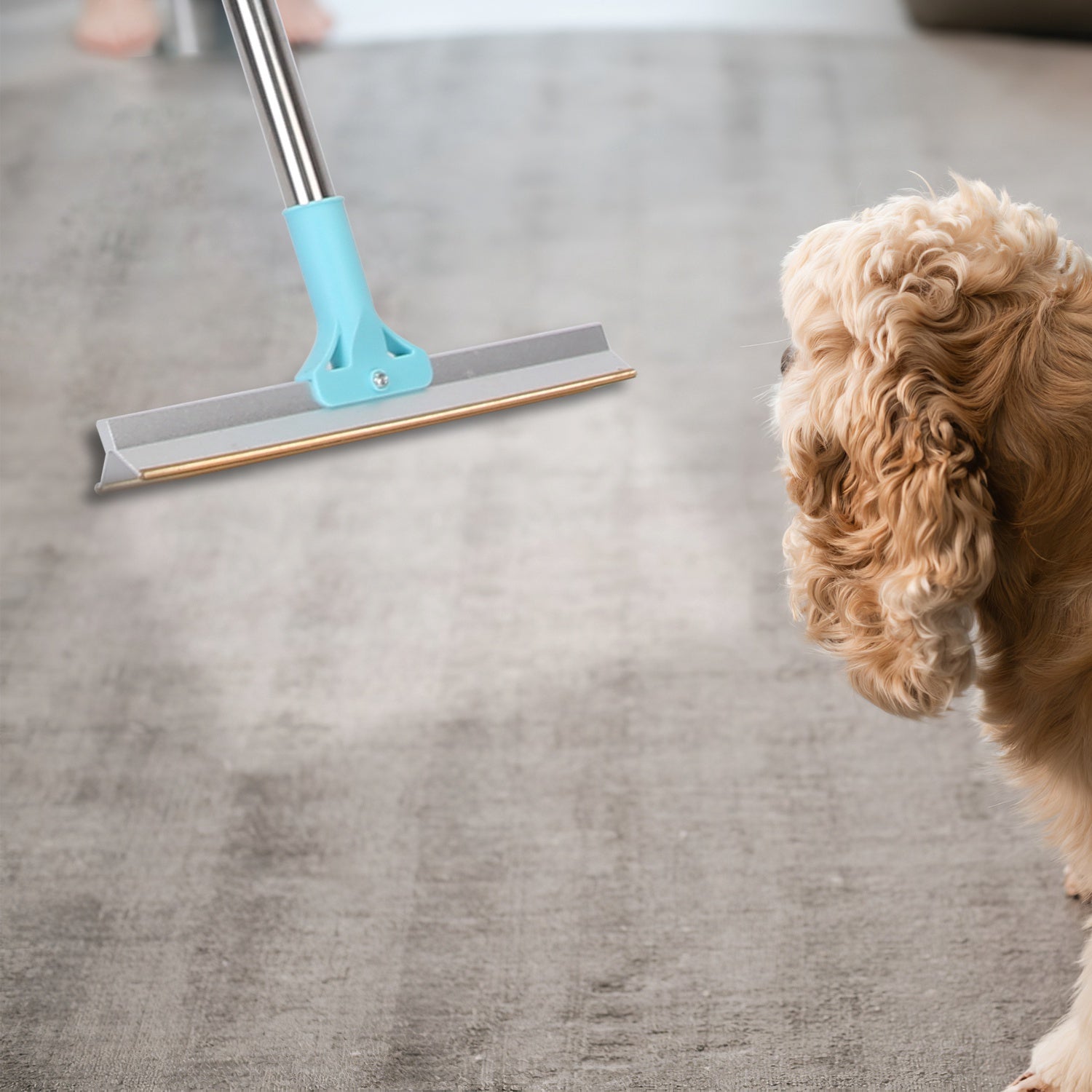 Extendable Pet Hair Remover Rake - 54" Telescopic Copper Blade for Furniture, Carpet & Upholstery
