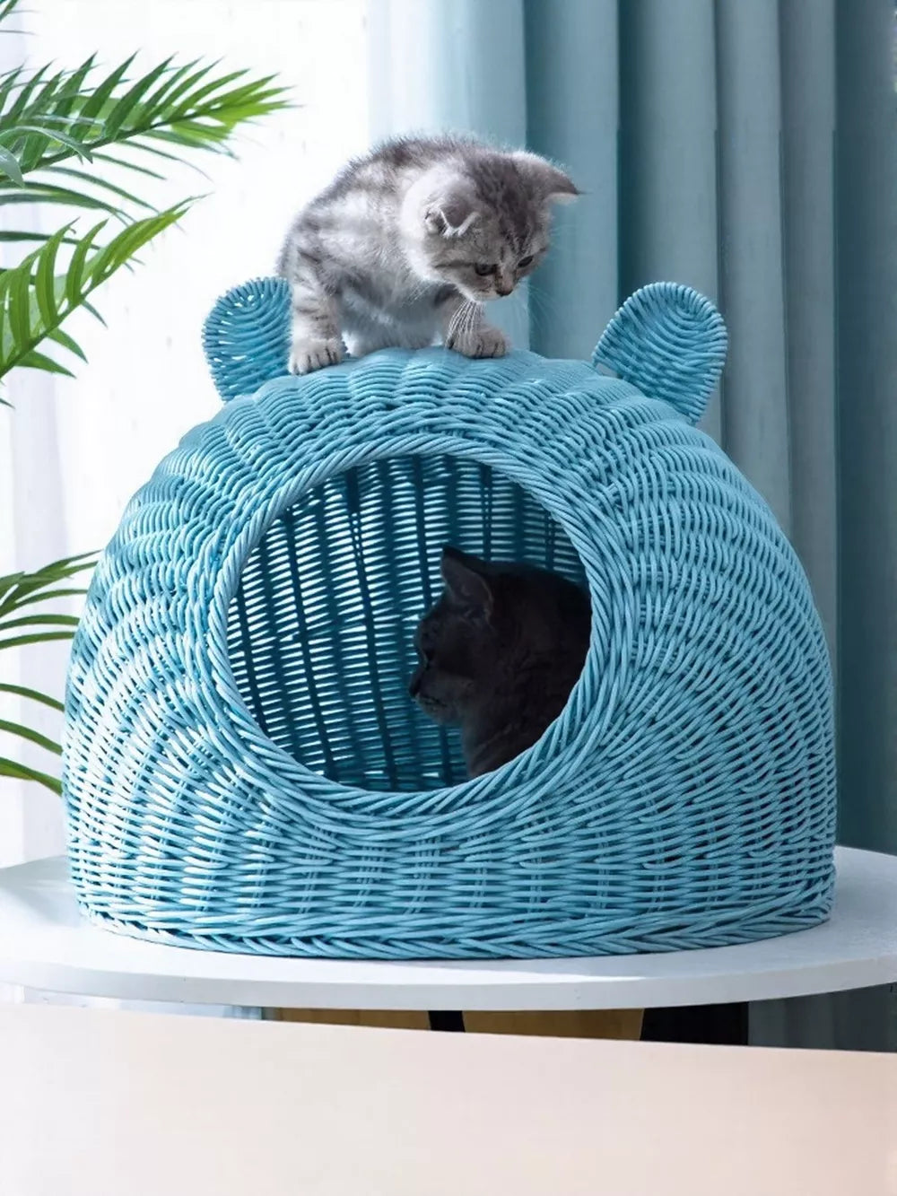 Rattan Pet Nest – Semi-Enclosed Washable Cat Bed