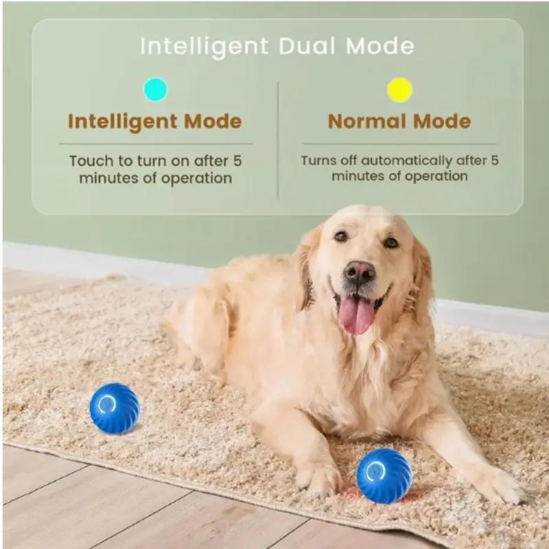Interactive Bounce Ball for Dogs & Cats – Durable Rubber Pet Toy