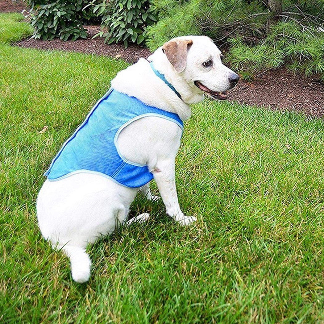 Dog Cooling Vest for Summer - Breathable Heat Relief Pet Jacket