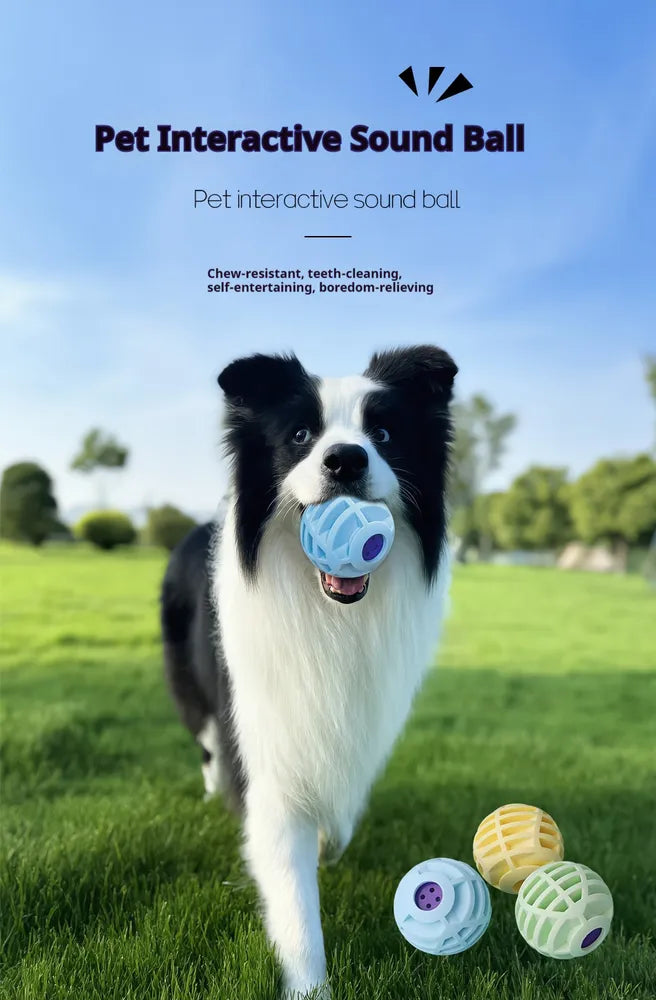 Squeaky Ball for Dogs & Cats – Interactive Sound Toy for Active Pet Play