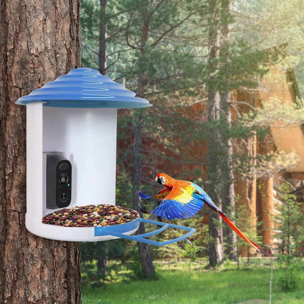 Smart Bird Feeder Camera with Solar Panel - 1080P HD AI Bird Identification & Motion Detection