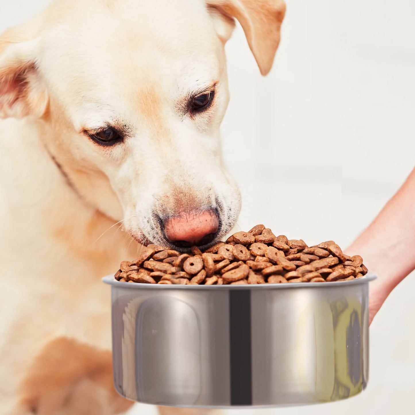 Stainless Steel Hanging Dog Bowl with Clamp - No-Spill Detachable Pet Feeder for Crates & Cages