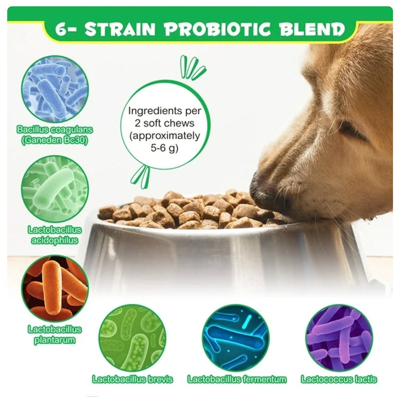 Probiotics Chews for Dogs | Digestive Health & Gut Support Supplement