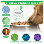 Probiotics Chews for Dogs | Digestive Health & Gut Support Supplement