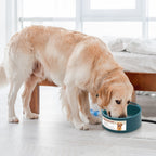 Heated Pet Water Bowl - 74oz Thermostat Controlled, Anti-Freeze for Dogs & Cats