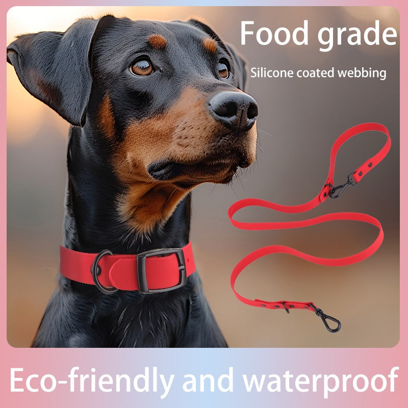 Waterproof Silicone Dog Collar and Leash Set - Odor-Free, Easy Clean for Small to Large Dogs