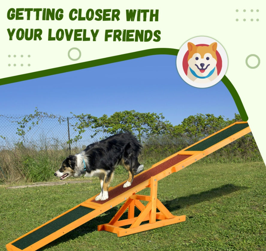 Dog Agility Seesaw – Professional-Grade Training Equipment for All Breeds
