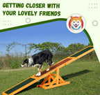 Dog Agility Seesaw – Professional-Grade Training Equipment for All Breeds
