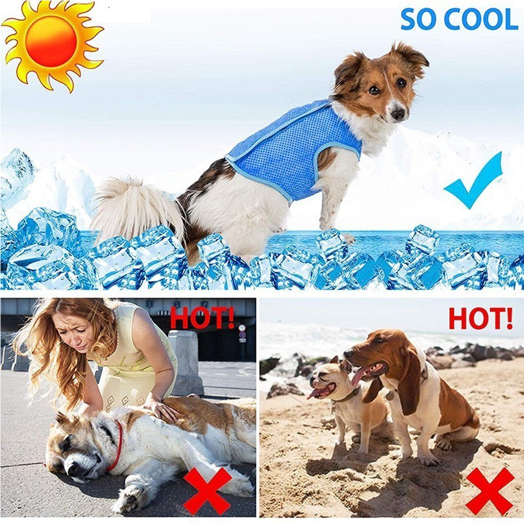 Dog Cooling Vest for Summer - Breathable Heat Relief Pet Jacket