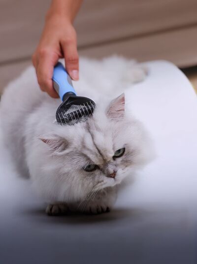 Deshedding Pet Hair Removal Comb | Stainless Steel Grooming Comb for Dogs & Cats
