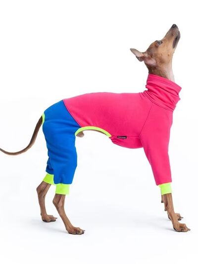 Color Block Turtleneck Pet Jumpsuit – Plus Size | Cozy Dog & Cat Outfit
