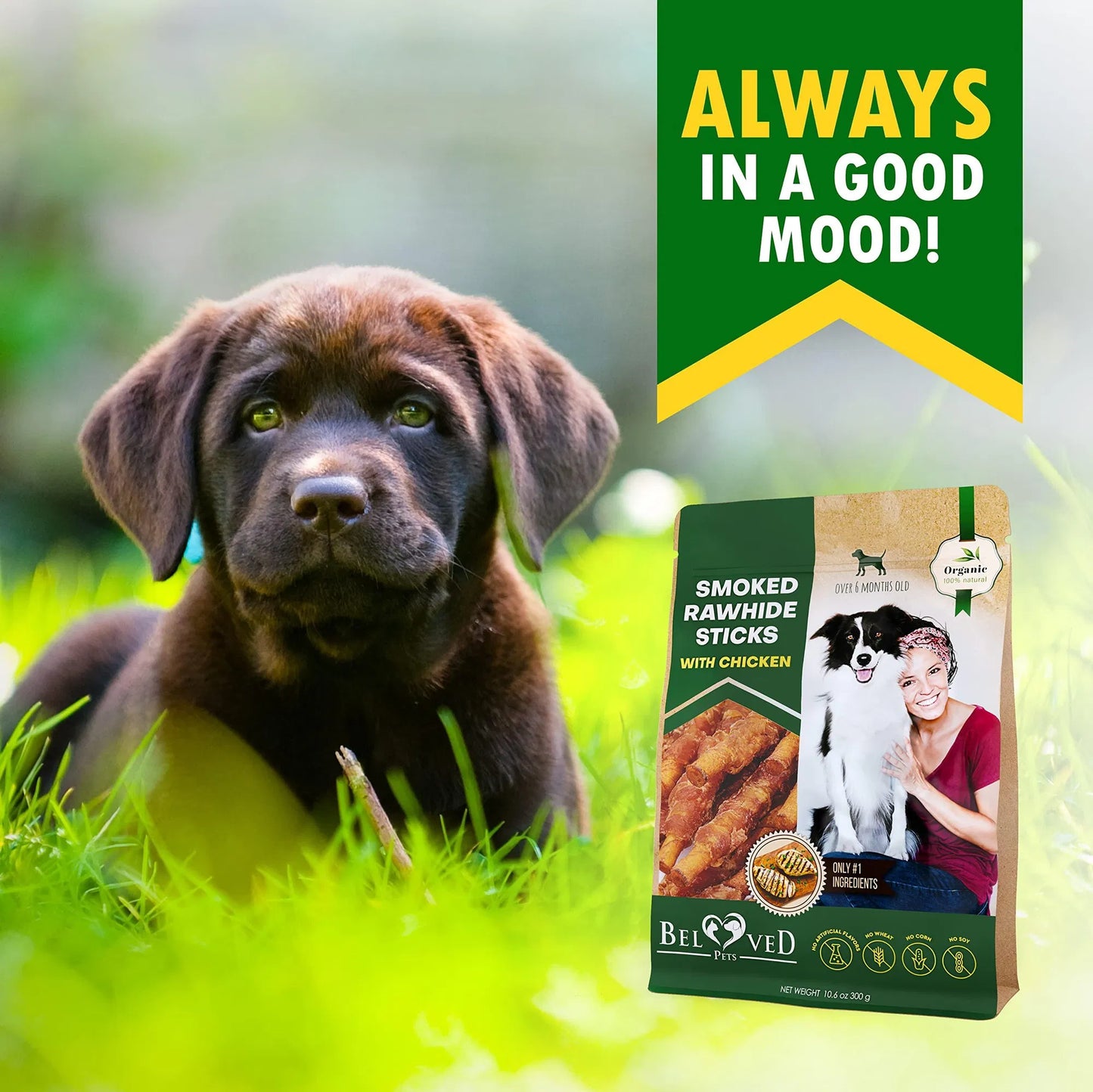 Premium Chicken-Wrapped Rawhide Sticks for Dogs – Natural Dental Chews