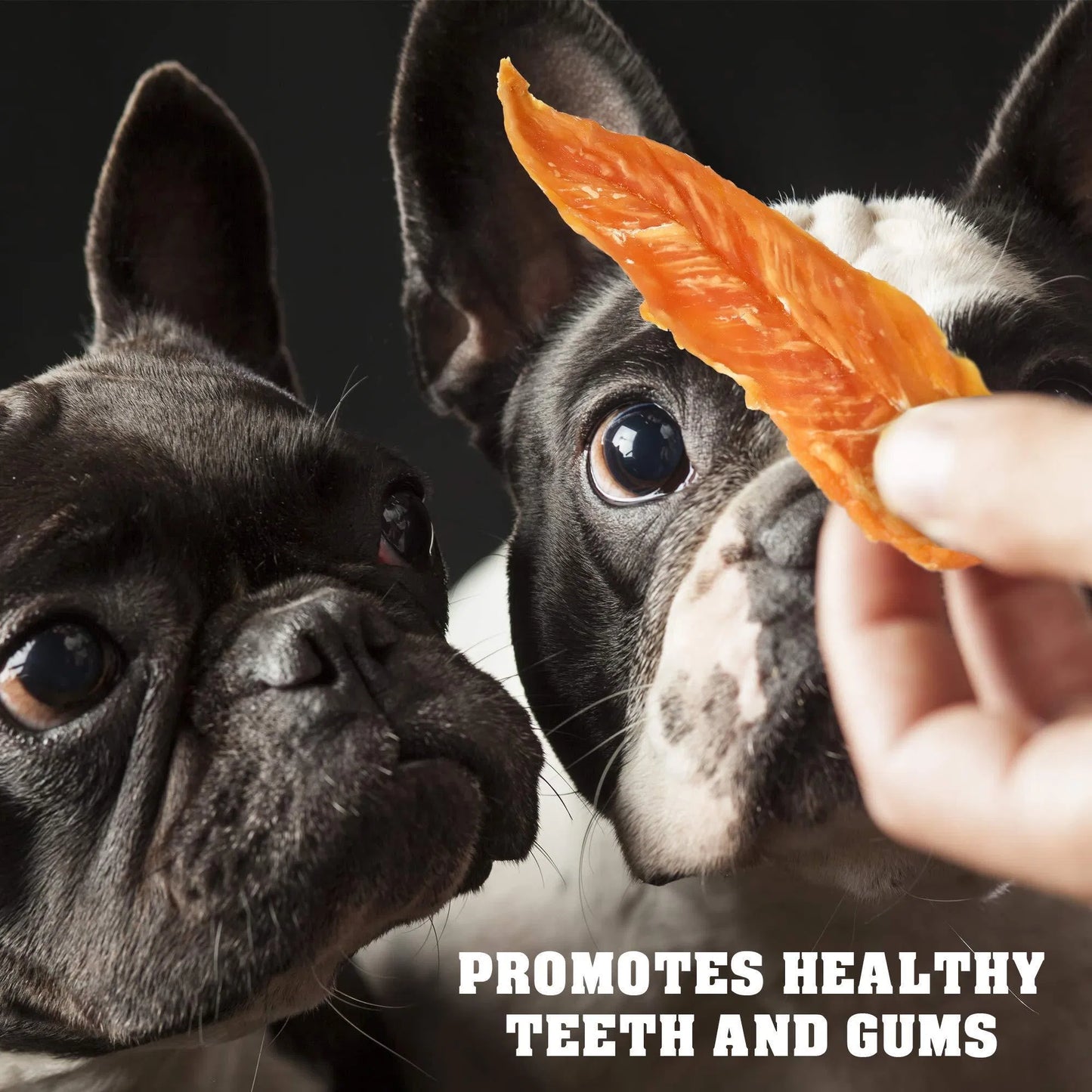 Premium Chicken Jerky Dog Treats - 1.5 lb Grain-Free Training Chews for All Dogs