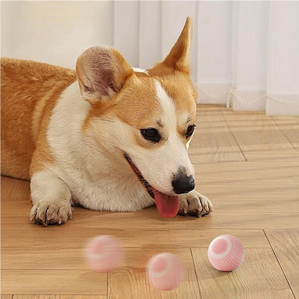 Interactive Self-Rolling Cat Ball Toy - Motion Activated with LED Lights