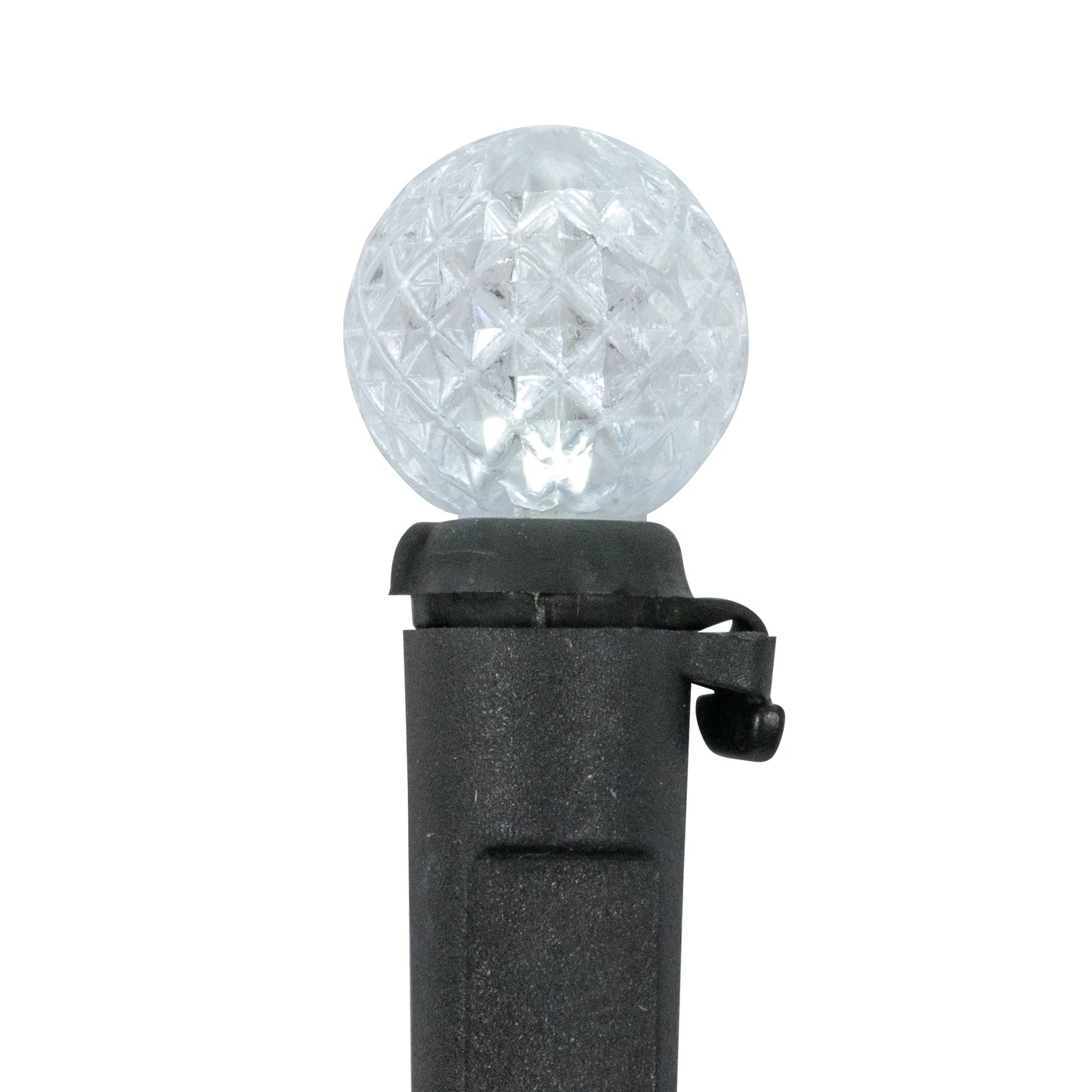 Northlight LED G12 Berry Christmas Lights - Pure White - 16' Black Wire - 50Ct