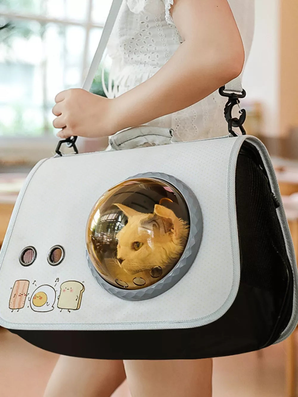 Bubble Window Pet Carrier Backpack — Breathable & Secure for Cats & Small Dogs