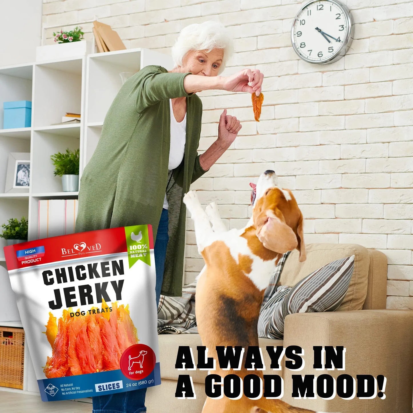 Premium Chicken Jerky Dog Treats - 1.5 lb Grain-Free Training Chews for All Dogs