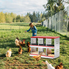 Metal Chicken Nesting Box – 6 Compartments | Sloped Roof & Ventilated Hen House