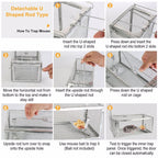 Humane Mouse Trap – Reusable Galvanized Steel Live Catch & Release | Indoor & Outdoor Use