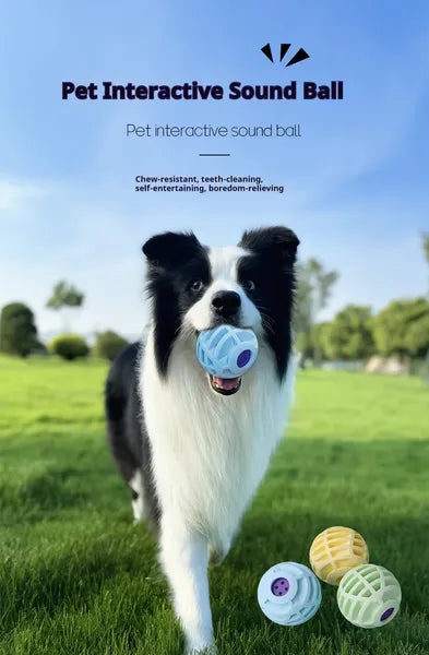 Squeaky Ball for Dogs & Cats – Interactive Sound Toy for Active Pet Play