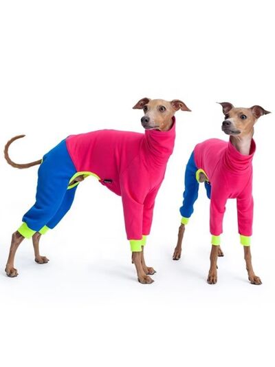 Color Block Turtleneck Pet Jumpsuit – Plus Size | Cozy Dog & Cat Outfit
