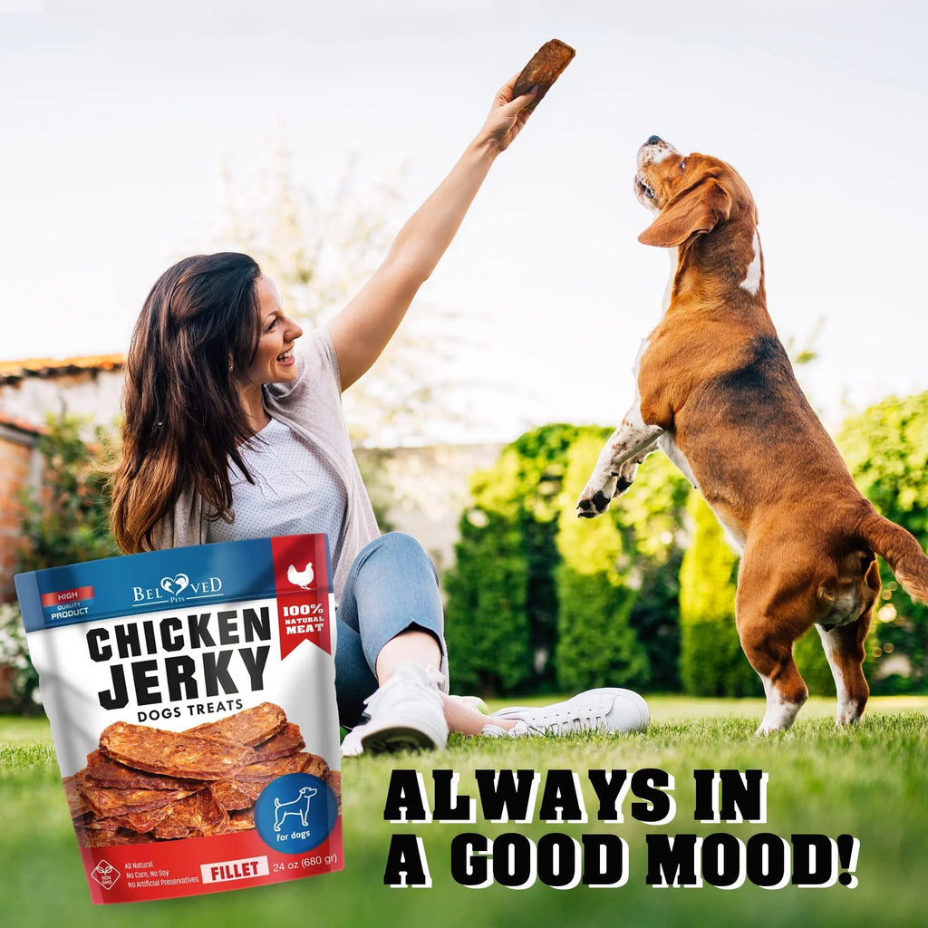 Premium Chicken Jerky Dog Treats - 1.5 lb Grain-Free Training Chews for All Dogs