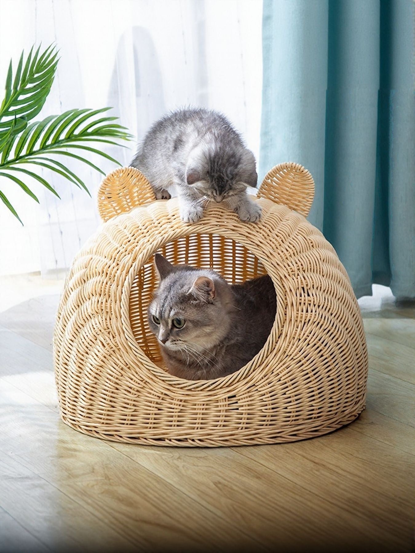 Rattan Pet Nest – Semi-Enclosed Washable Cat Bed